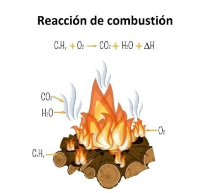 reaccion de combustion